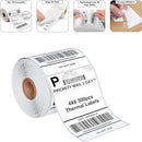 4×6 Direct Thermal Shipping Labels – 5000 Labels (500 per Roll, 10 Rolls) Water & Oil Resistant, Strong Adhesive, Perforated, Compatible with Zebra, Rollo, Jadens & Nelko Printers (Not for DYMO)